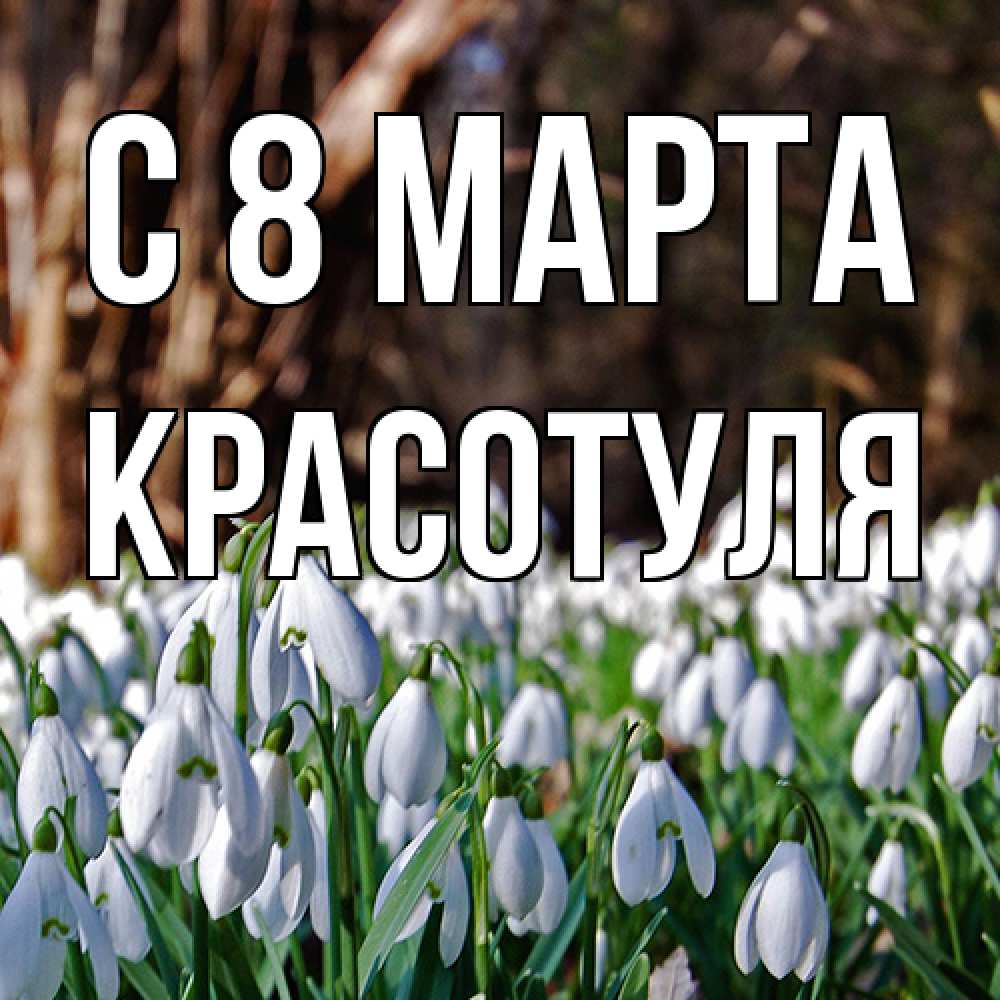 Открытка на каждый день с именем, Красотуля C 8 МАРТА с подснежниками 1 Прикольная открытка с пожеланием онлайн скачать бесплатно 