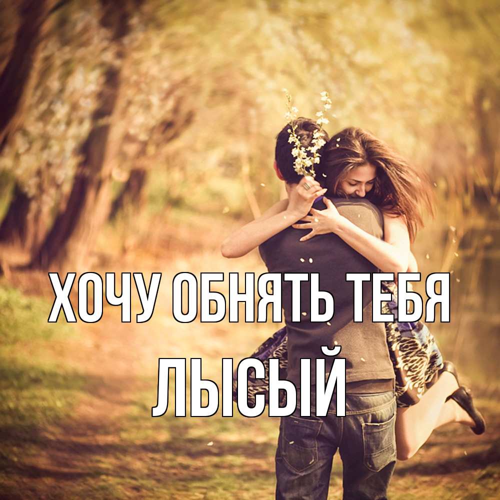 Открытка на каждый день с именем, Лысый Хочу обнять тебя Лес осенний Прикольная открытка с пожеланием онлайн скачать бесплатно 