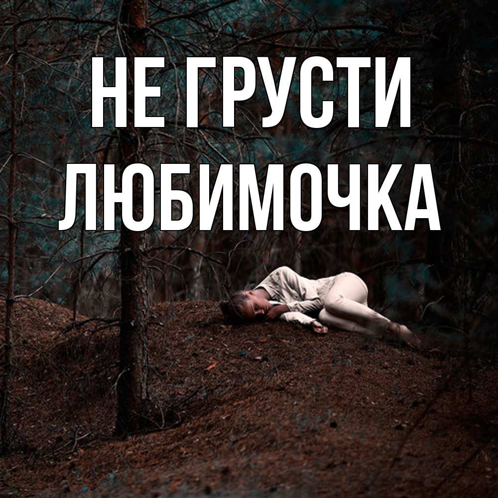 Открытка на каждый день с именем, Любимочка Не грусти лес Прикольная открытка с пожеланием онлайн скачать бесплатно 