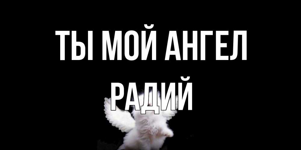 Открытка на каждый день с именем, Радий Ты мой ангел Кот ангел Прикольная открытка с пожеланием онлайн скачать бесплатно 
