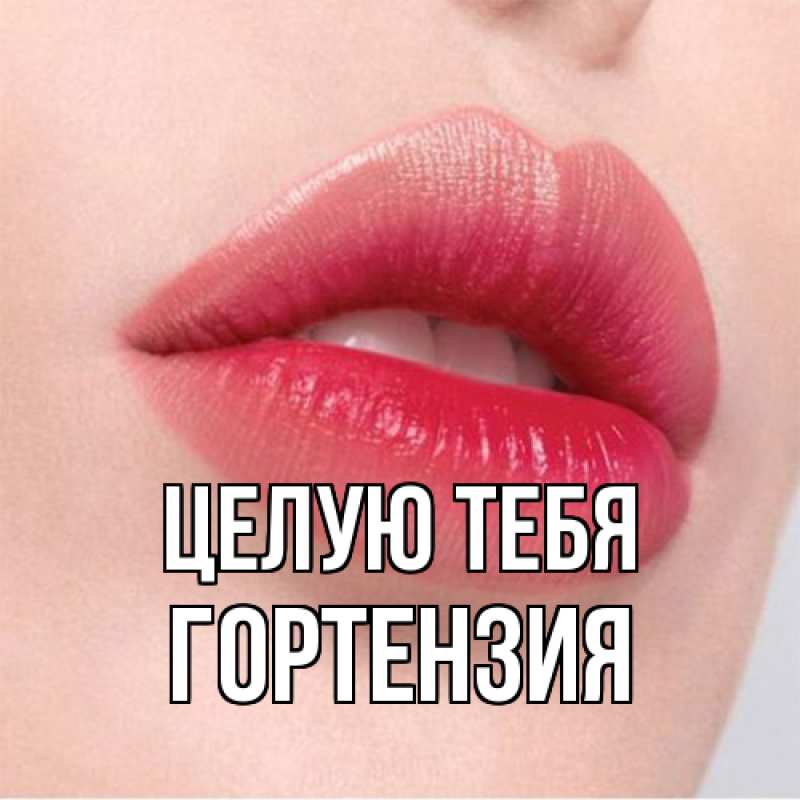 Картинка Целую тебя, Гортензия