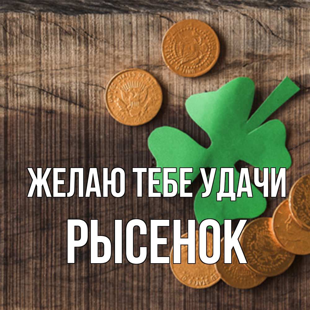 Открытка на каждый день с именем, рысенок Желаю тебе удачи на удачу сегодня Прикольная открытка с пожеланием онлайн скачать бесплатно 