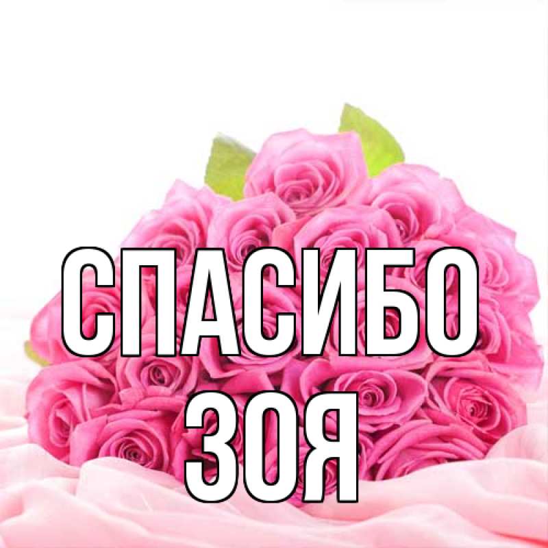 Картинка Спасибо, Зоя