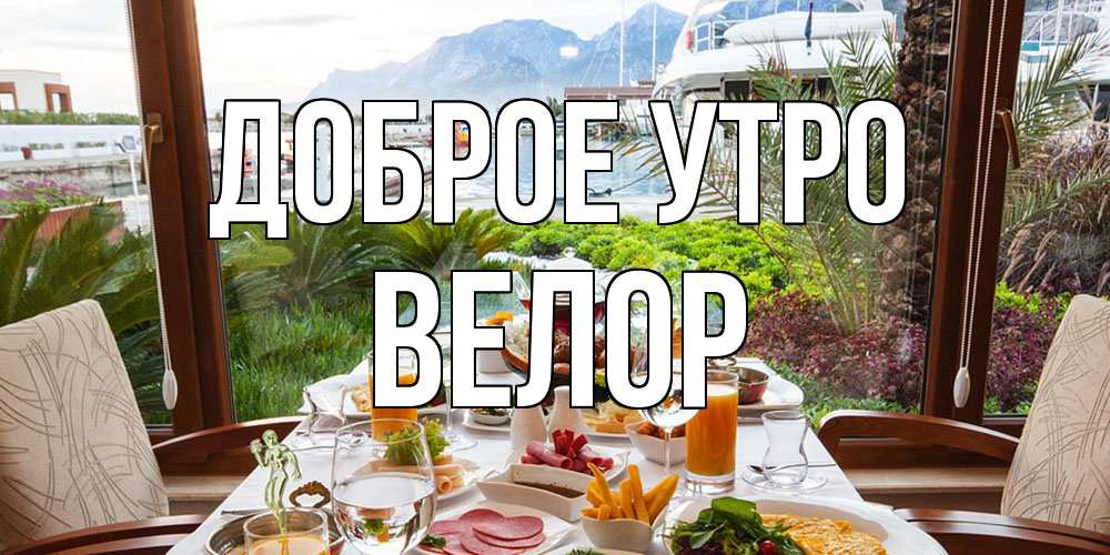 Открытка на каждый день с именем, Велор Доброе утро тропическое утро Прикольная открытка с пожеланием онлайн скачать бесплатно 