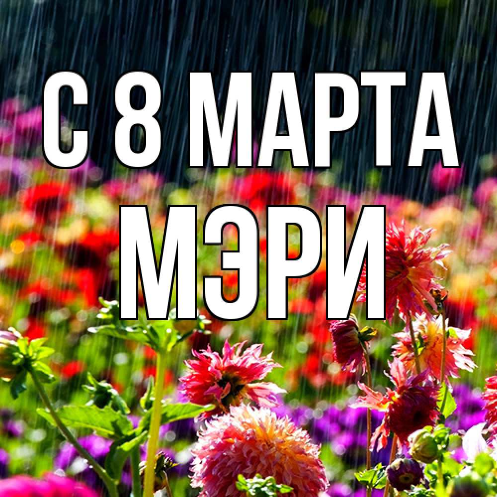 Открытка на каждый день с именем, Мэри C 8 МАРТА цветы под дождиком к международному женскому дню Прикольная открытка с пожеланием онлайн скачать бесплатно 