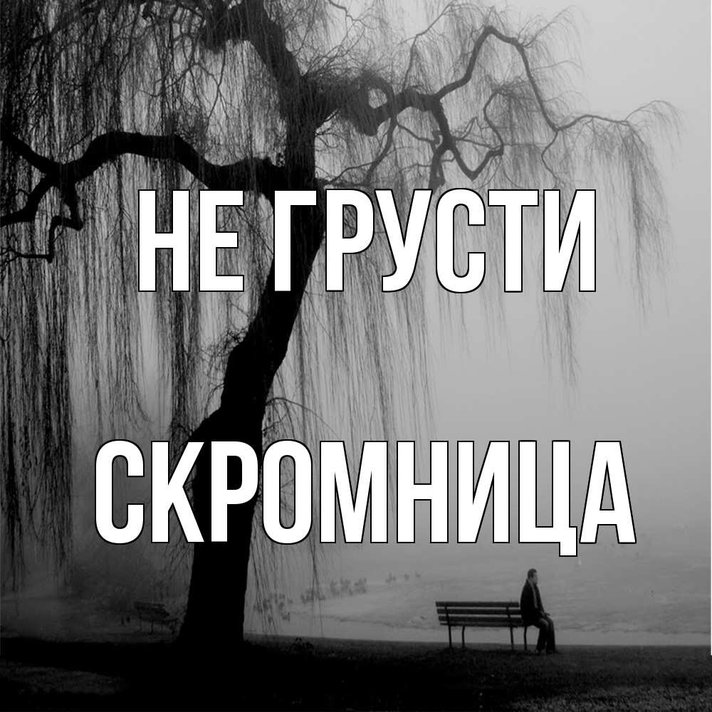 Открытка на каждый день с именем, Скромница Не грусти висящие ветки дерева и лавочка под деревом Прикольная открытка с пожеланием онлайн скачать бесплатно 