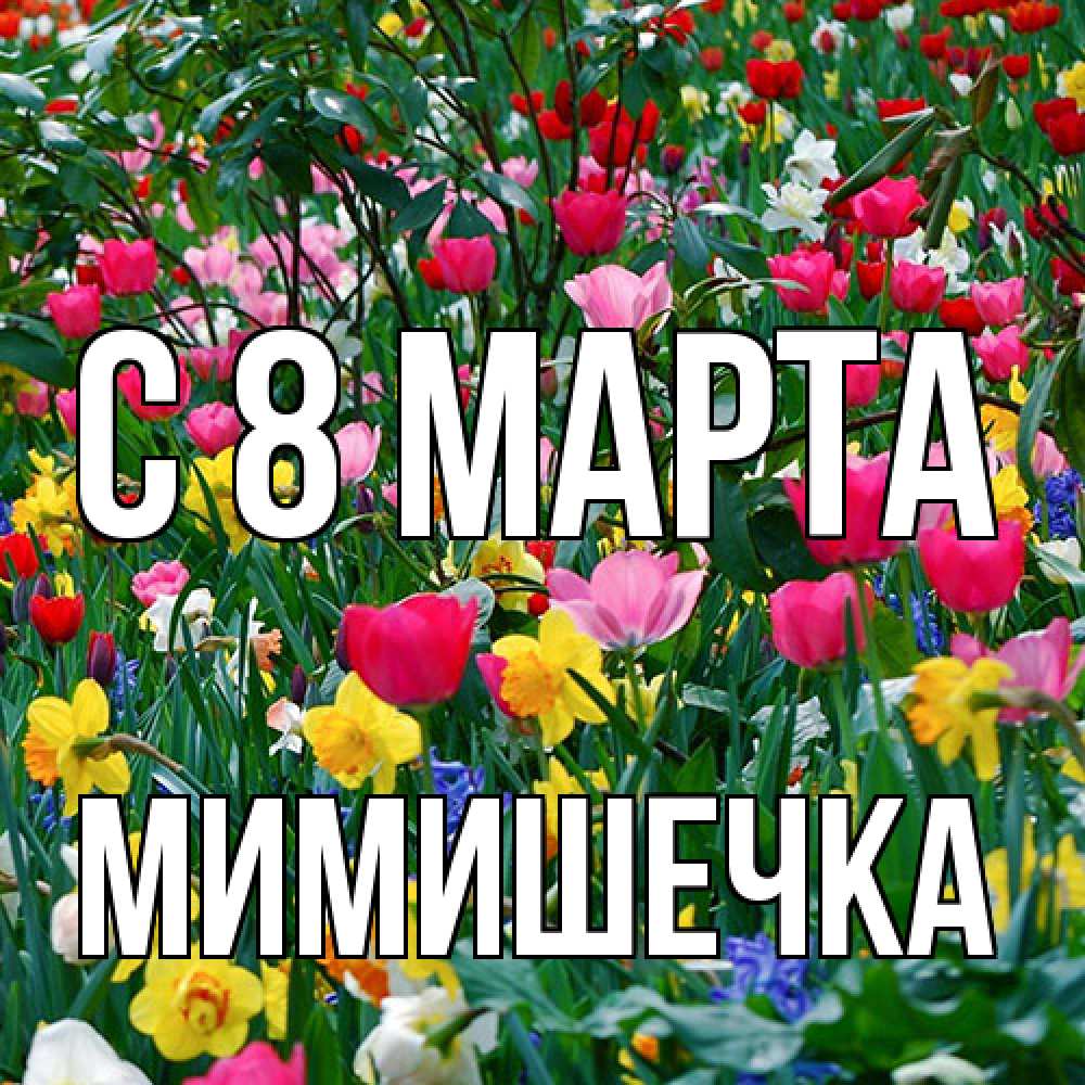 Открытка на каждый день с именем, мимишечка C 8 МАРТА с международным женским днем поздравления для женщины Прикольная открытка с пожеланием онлайн скачать бесплатно 