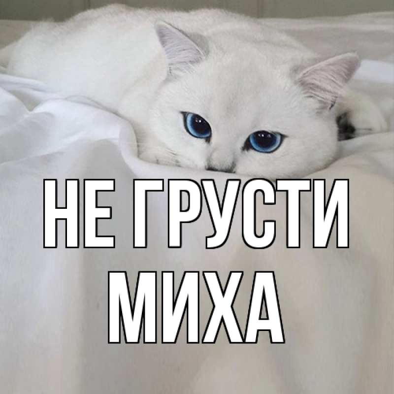 Картинка Не грусти, Миха