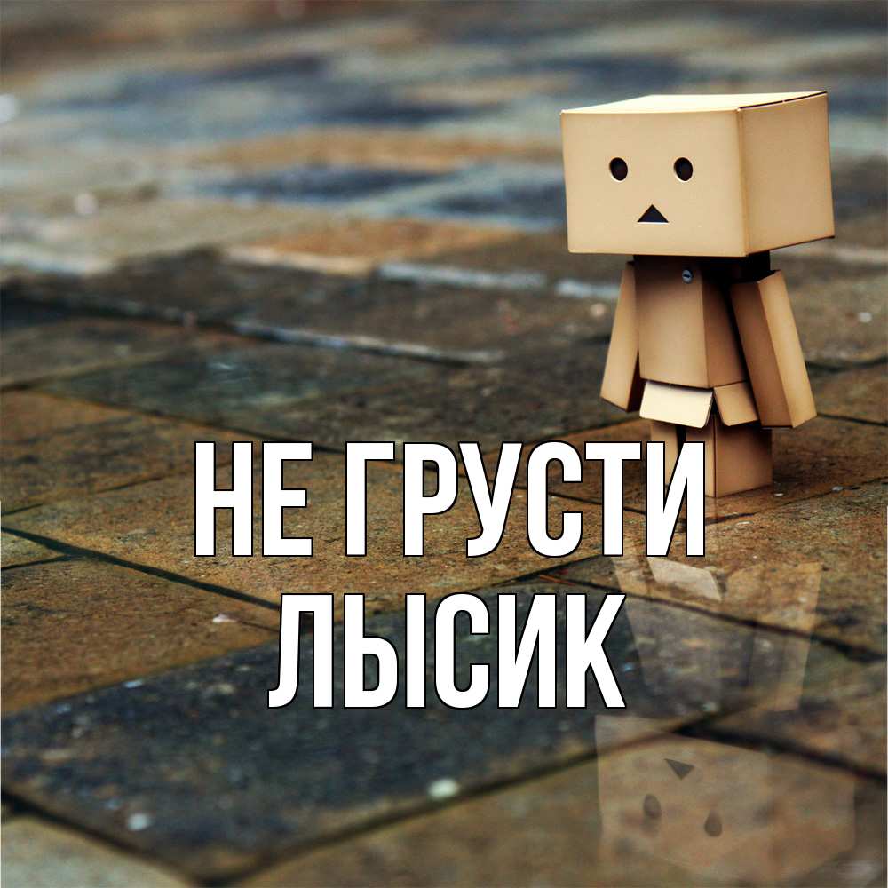 Открытка на каждый день с именем, Лысик Не грусти Стив Прикольная открытка с пожеланием онлайн скачать бесплатно 