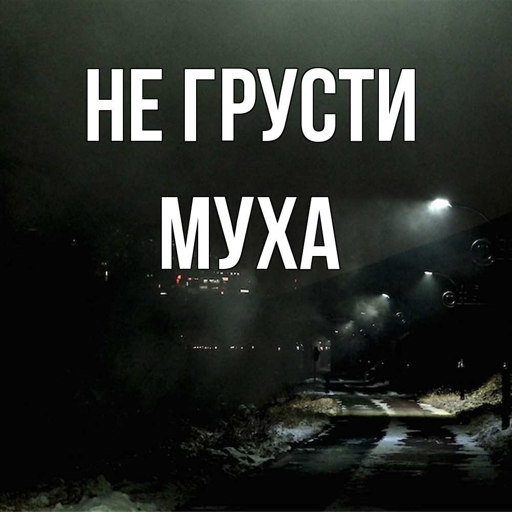 Открытка на каждый день с именем, Муха Не грусти фонари Прикольная открытка с пожеланием онлайн скачать бесплатно 