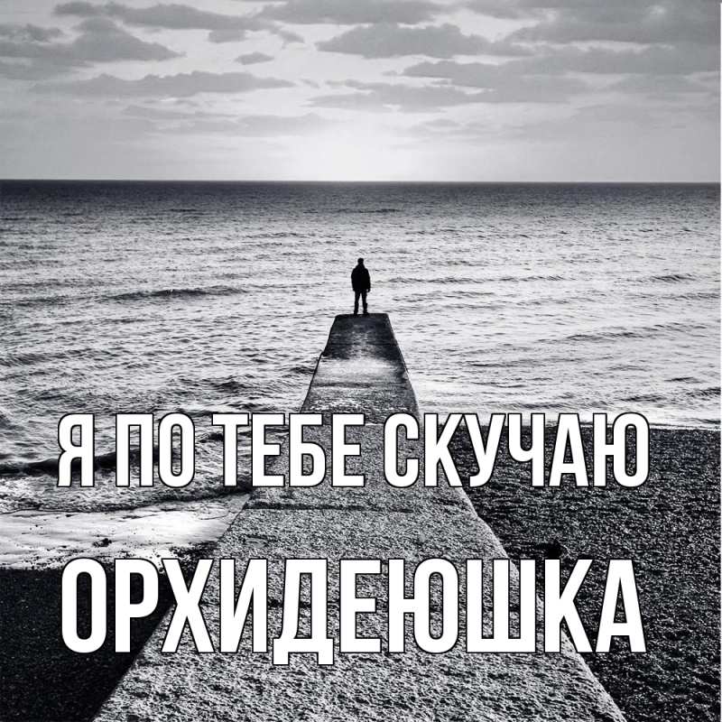 Картинка Я по тебе скучаю, Орхидеюшка