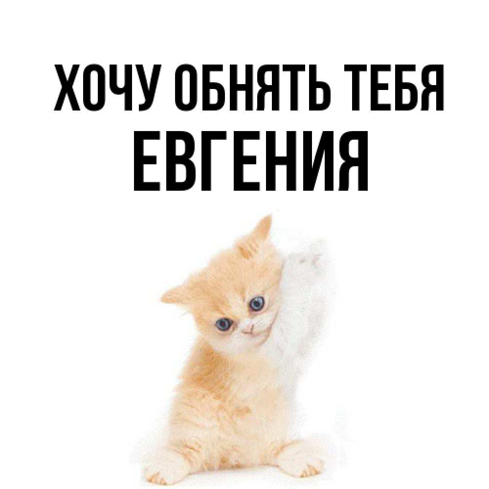Открытка на каждый день с именем, Евгения Хочу обнять тебя я хочу очень скорее обнимаешек Прикольная открытка с пожеланием онлайн скачать бесплатно 