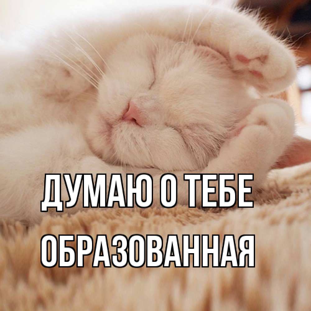 Открытка на каждый день с именем, Обpазованная Думаю о тебе для любимой девушки милота Прикольная открытка с пожеланием онлайн скачать бесплатно 