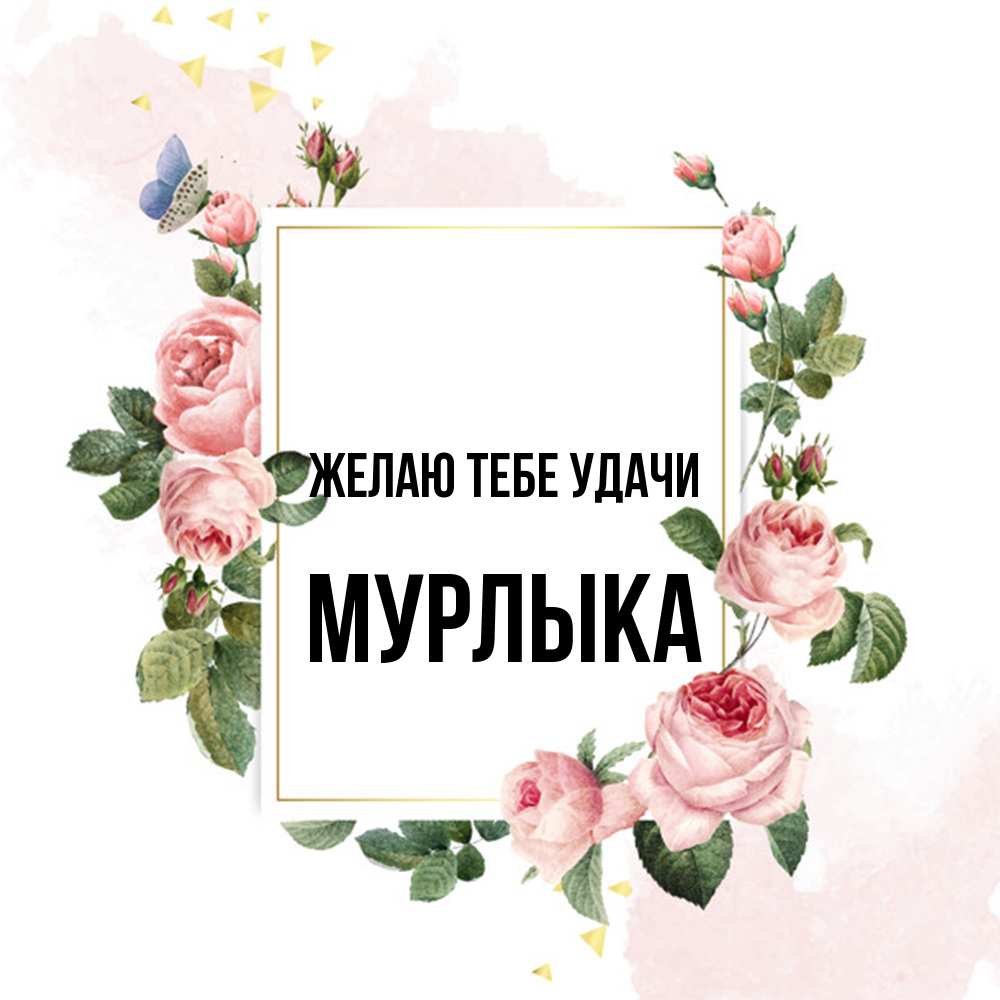 Открытка на каждый день с именем, мурлыка Желаю тебе удачи розовые розы Прикольная открытка с пожеланием онлайн скачать бесплатно 