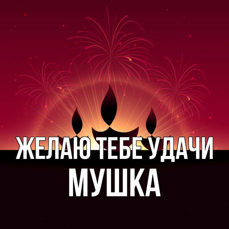 Картинка Желаю тебе удачи, мушка