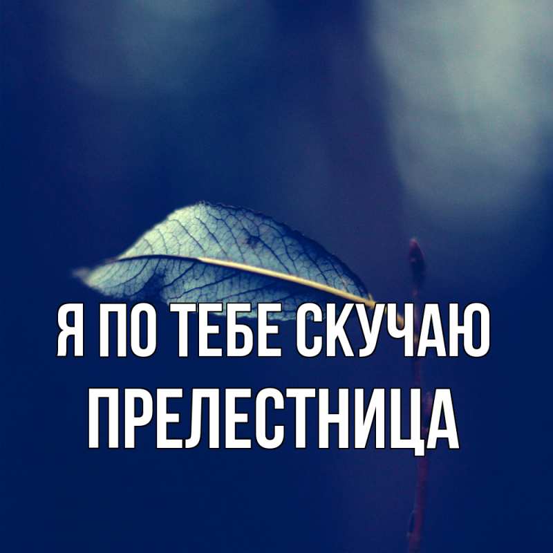 Картинка Я по тебе скучаю, пpелестница