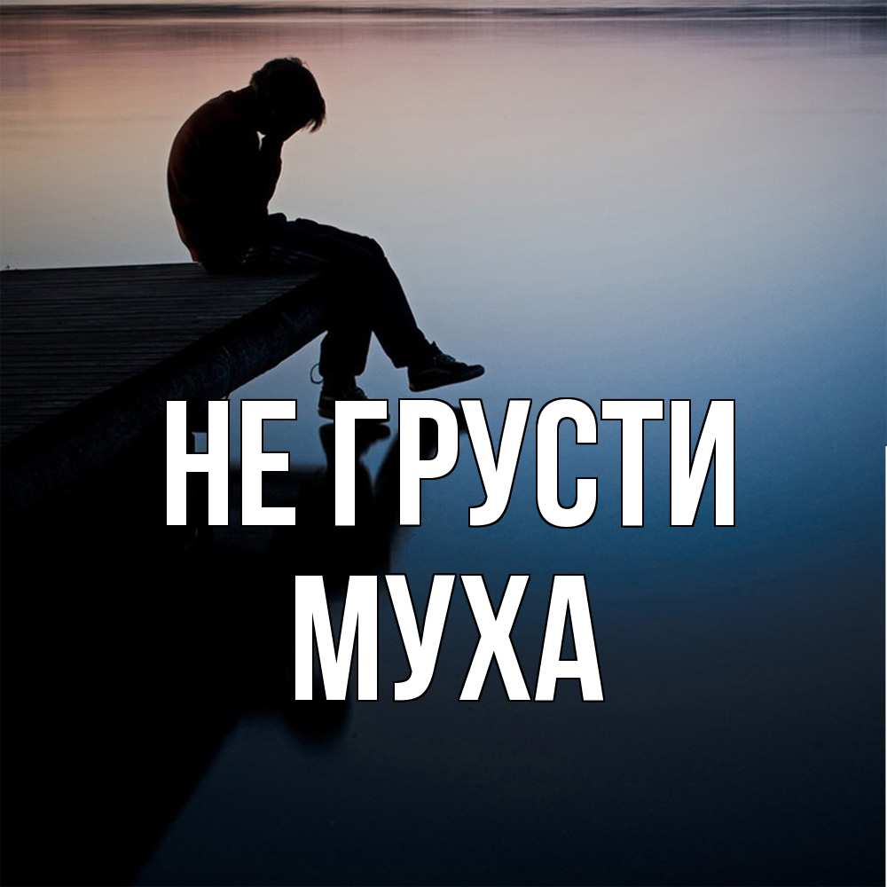 Открытка на каждый день с именем, Муха Не грусти печаль Прикольная открытка с пожеланием онлайн скачать бесплатно 