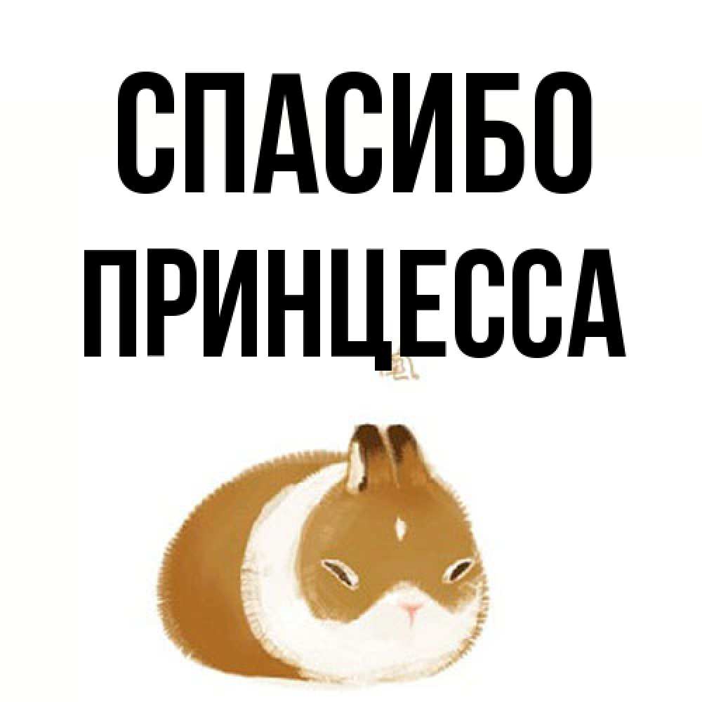 Открытка на каждый день с именем, Принцесса Спасибо коричнево белый домашний питомец Прикольная открытка с пожеланием онлайн скачать бесплатно 