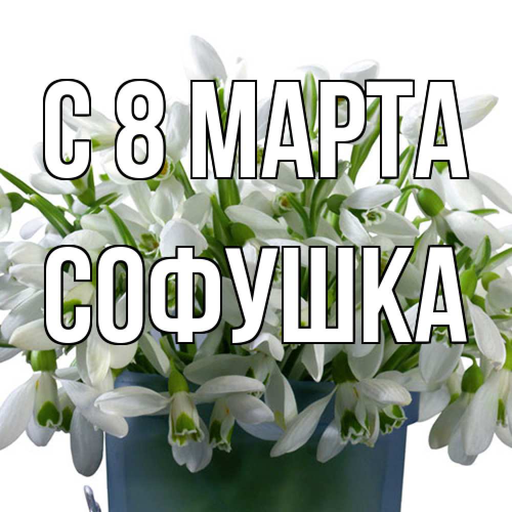 Открытка на каждый день с именем, Софушка C 8 МАРТА цветы к международному женскому дню Прикольная открытка с пожеланием онлайн скачать бесплатно 