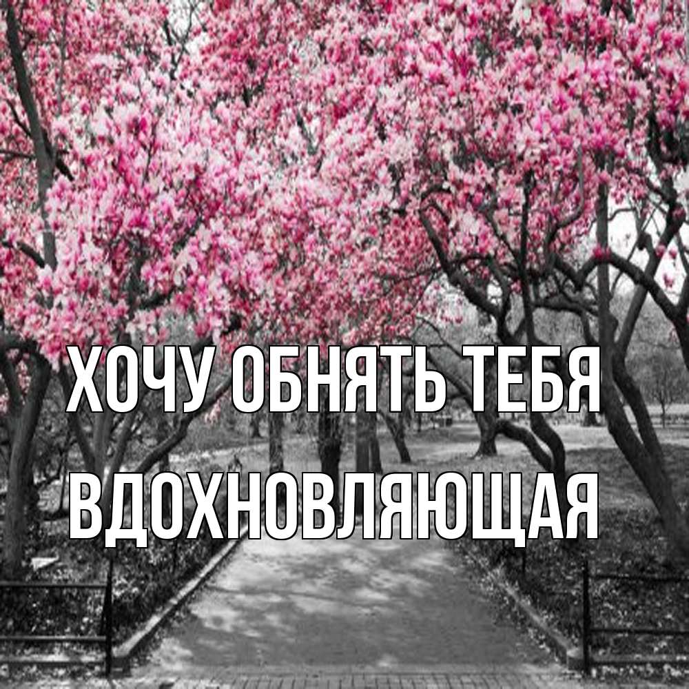 Открытка на каждый день с именем, вдохновляющая Хочу обнять тебя обработанное фото Прикольная открытка с пожеланием онлайн скачать бесплатно 