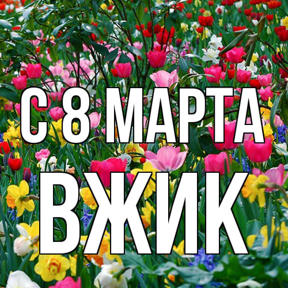 Открытка на каждый день с именем, Вжик C 8 МАРТА с международным женским днем поздравления для женщины Прикольная открытка с пожеланием онлайн скачать бесплатно 