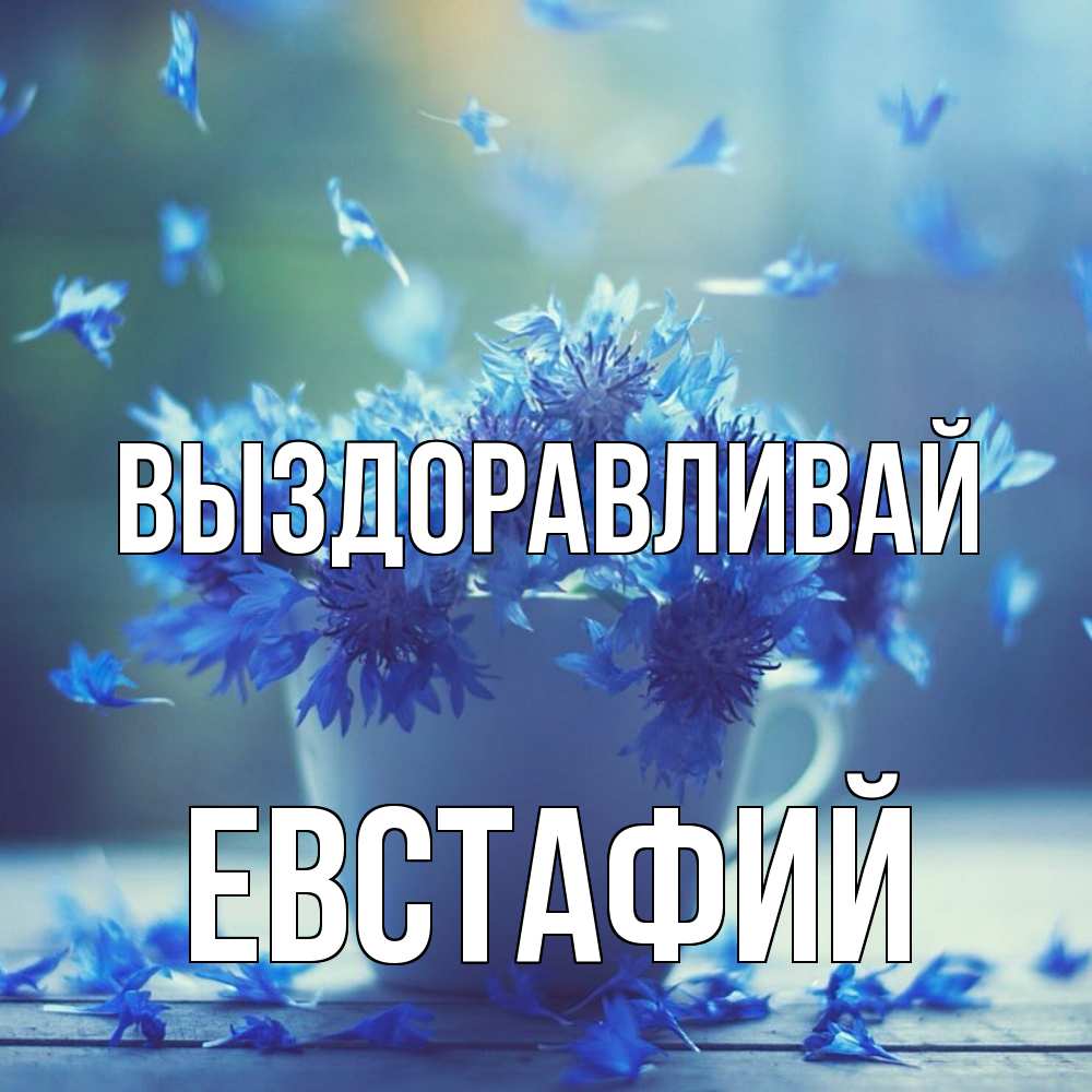 Открытка на каждый день с именем, Евстафий Выздоравливай кружка с зельем и цветами Прикольная открытка с пожеланием онлайн скачать бесплатно 