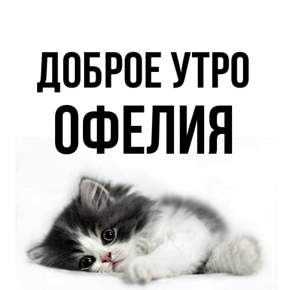 Открытка на каждый день с именем, Офелия Доброе утро кот лапки Прикольная открытка с пожеланием онлайн скачать бесплатно 