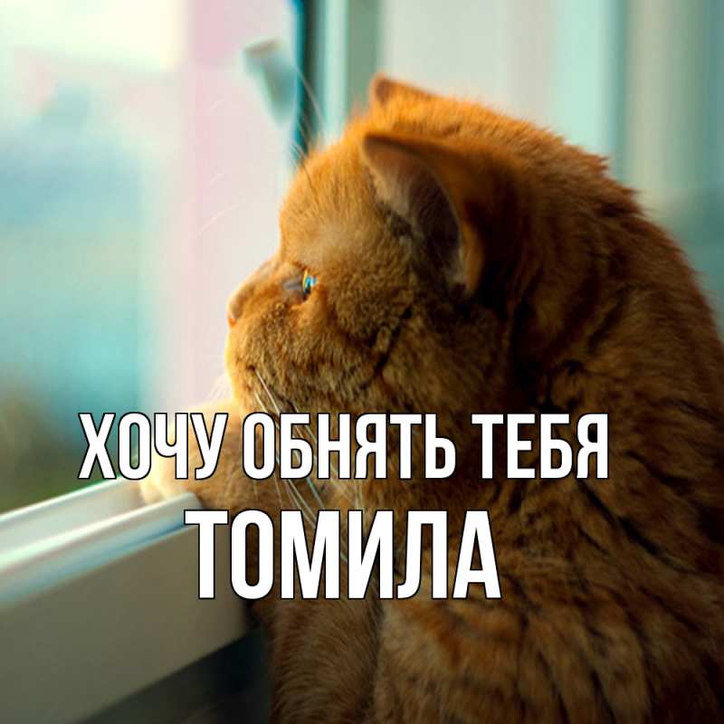 Картинка Хочу обнять тебя, Томила