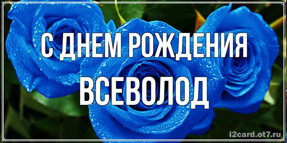 Открытка на каждый день с именем, Всеволод С днем рождения розы с синим цветом Прикольная открытка с пожеланием онлайн скачать бесплатно 