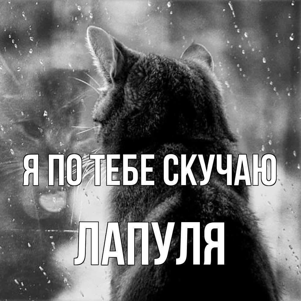 Открытка на каждый день с именем, Лапуля Я по тебе скучаю скорее ко мне приходи 1 Прикольная открытка с пожеланием онлайн скачать бесплатно 