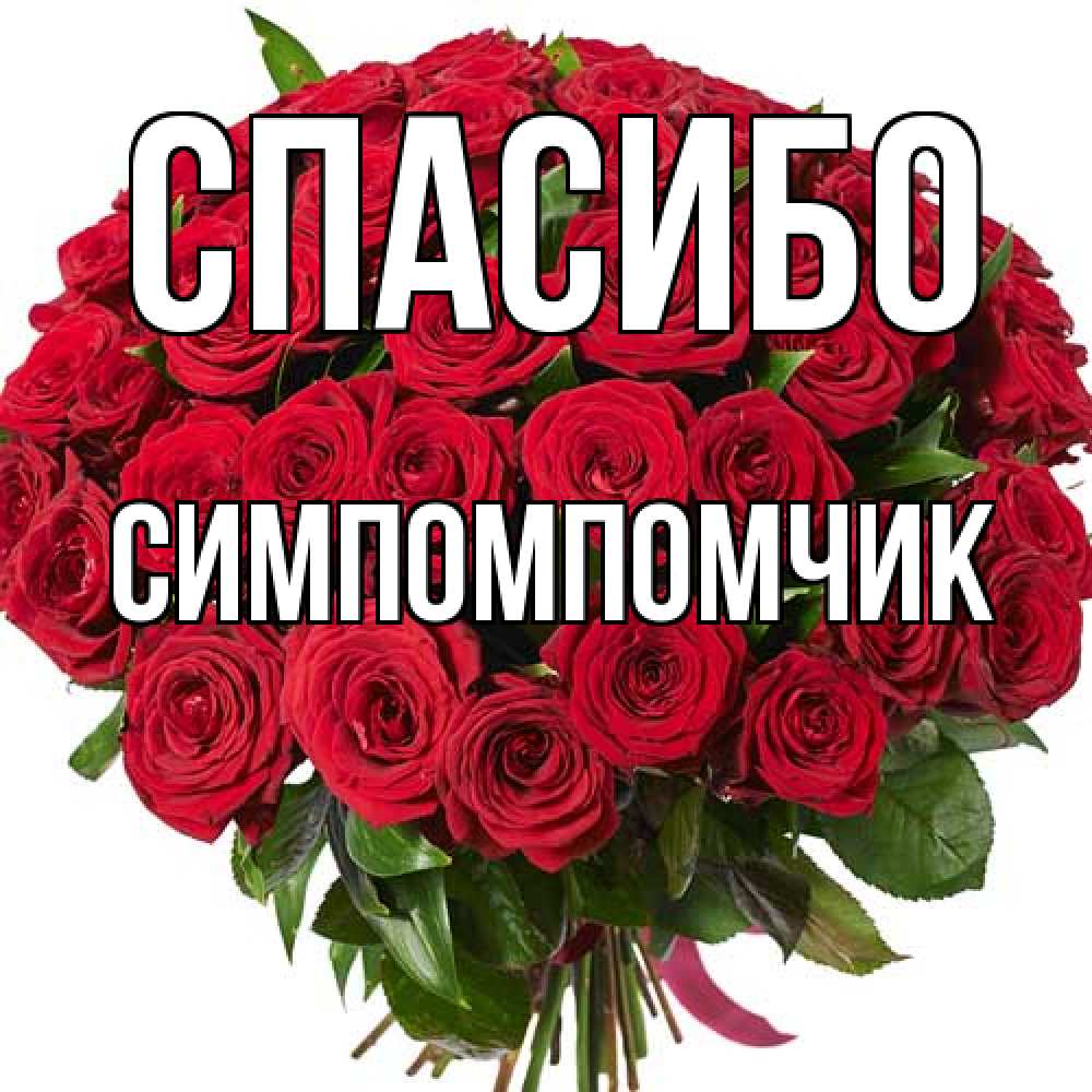 Открытка на каждый день с именем, Симпомпомчик Спасибо букет красных роз Прикольная открытка с пожеланием онлайн скачать бесплатно 
