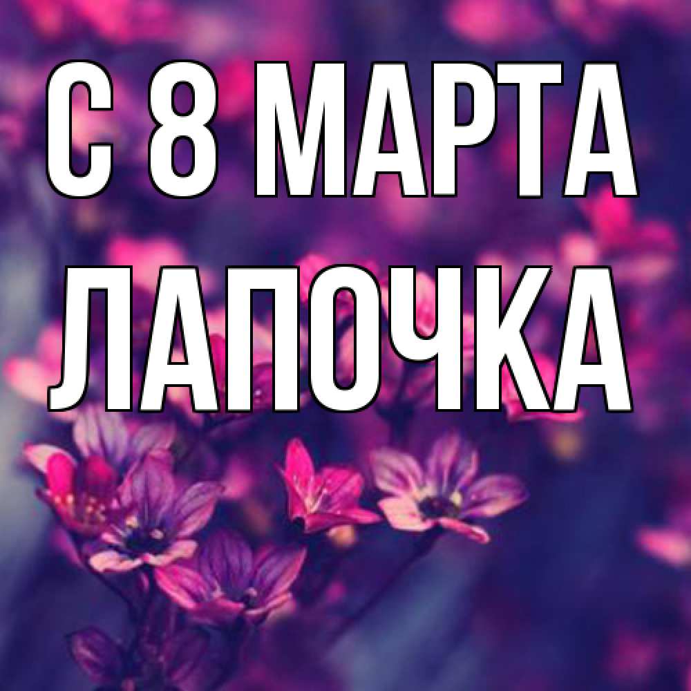 Открытка на каждый день с именем, лапочка C 8 МАРТА небольшие цветы 1 Прикольная открытка с пожеланием онлайн скачать бесплатно 