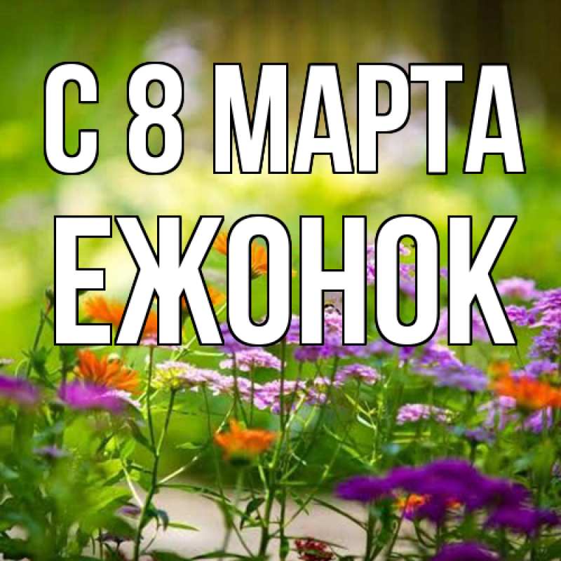 Картинка C 8 МАРТА, Ежонок