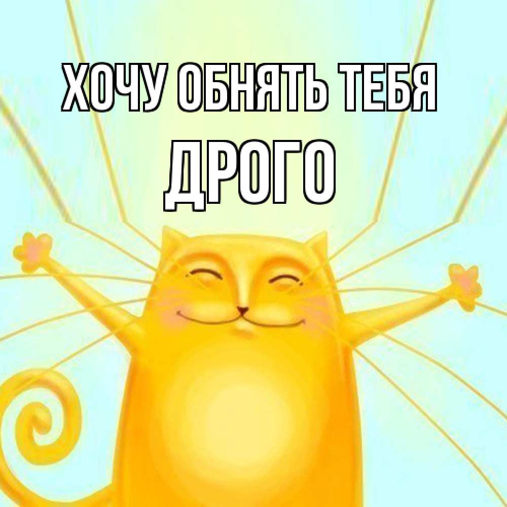 Открытка на каждый день с именем, Дрого Хочу обнять тебя солнечный обнимашечный кот Прикольная открытка с пожеланием онлайн скачать бесплатно 