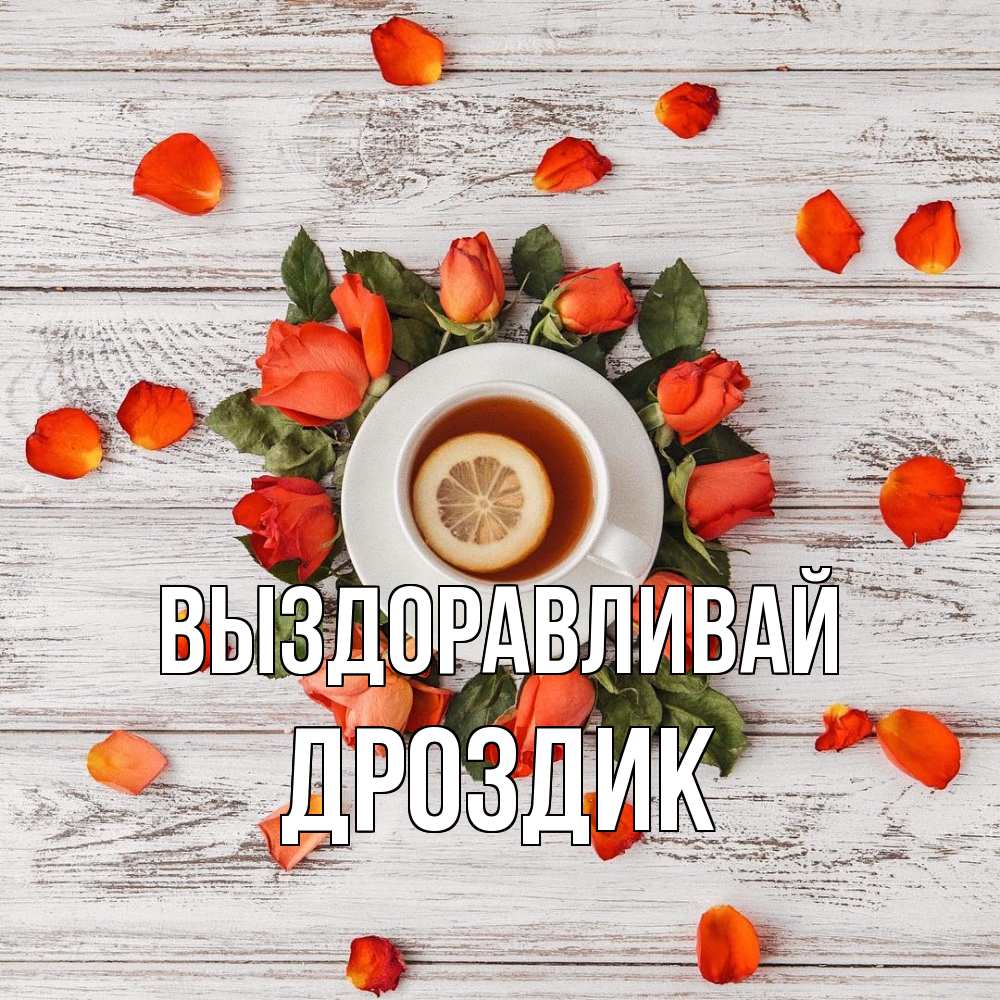 Открытка на каждый день с именем, Дроздик Выздоравливай фон из досок Прикольная открытка с пожеланием онлайн скачать бесплатно 