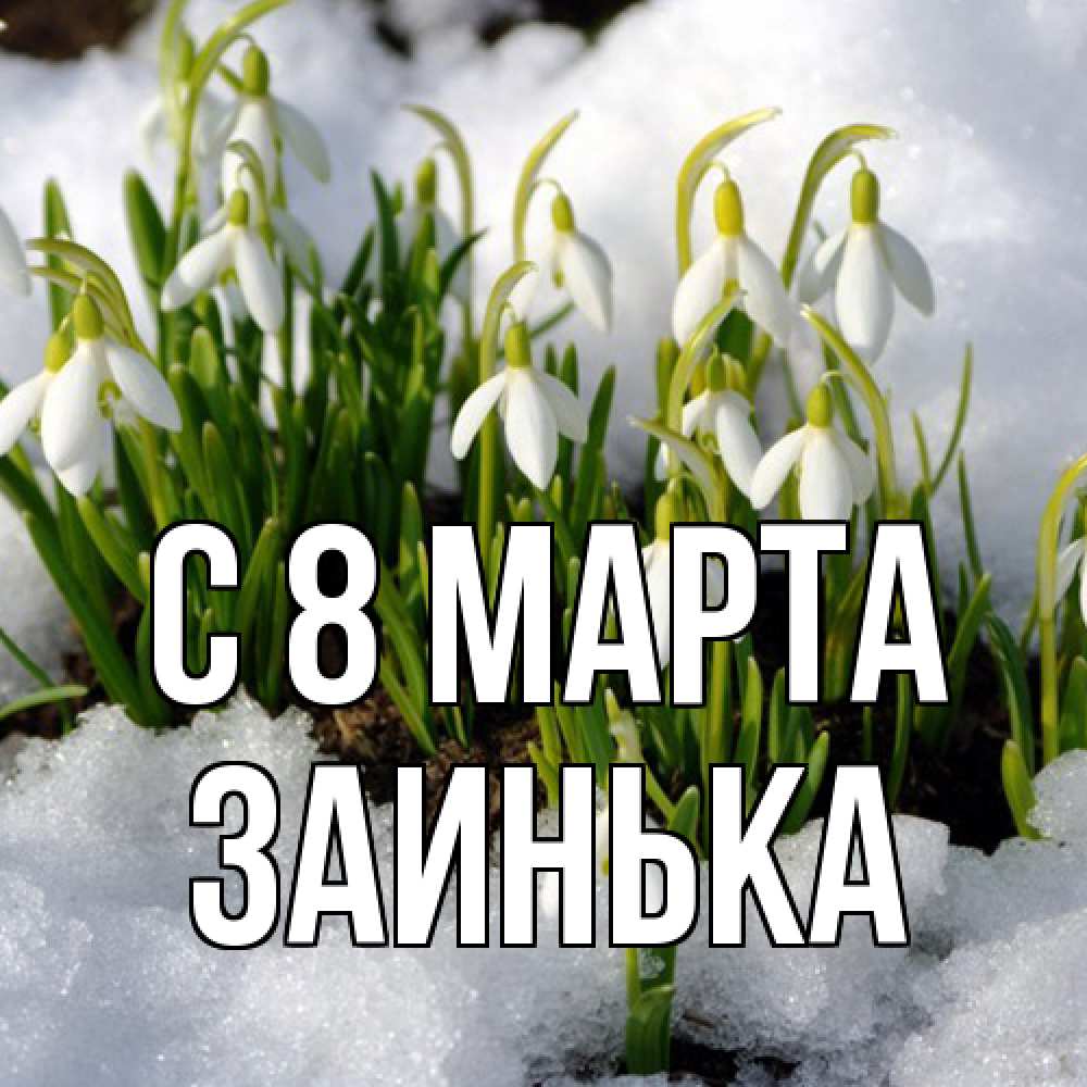 Открытка на каждый день с именем, Заинька C 8 МАРТА цветы весенние Прикольная открытка с пожеланием онлайн скачать бесплатно 