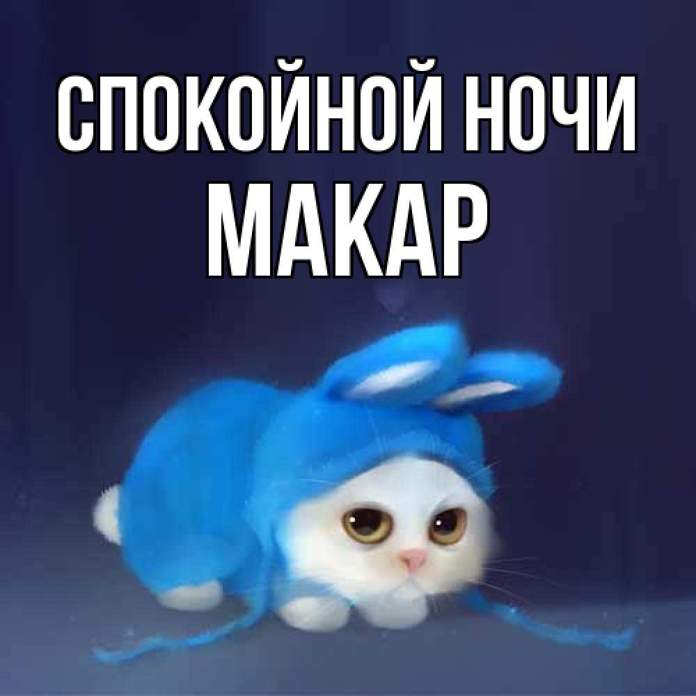 Открытка на каждый день с именем, Макар Спокойной ночи кот в голубом костюме кролика с ушками Прикольная открытка с пожеланием онлайн скачать бесплатно 