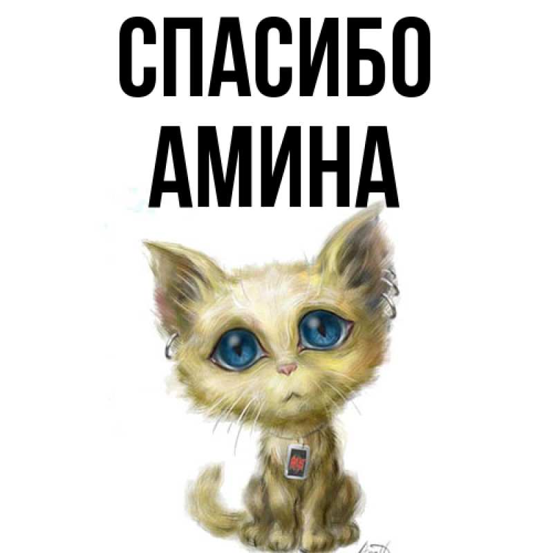 Картинка Спасибо, Амина