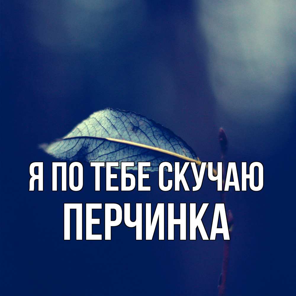 Открытка на каждый день с именем, Перчинка Я по тебе скучаю одна ветка 1 Прикольная открытка с пожеланием онлайн скачать бесплатно 
