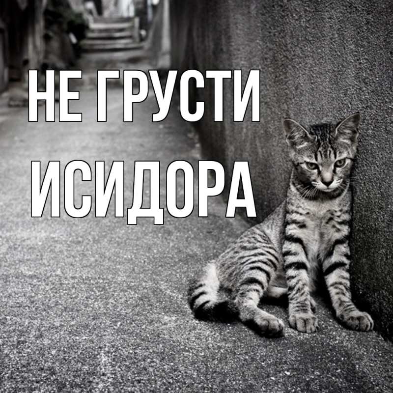 Картинка Не грусти, Исидора