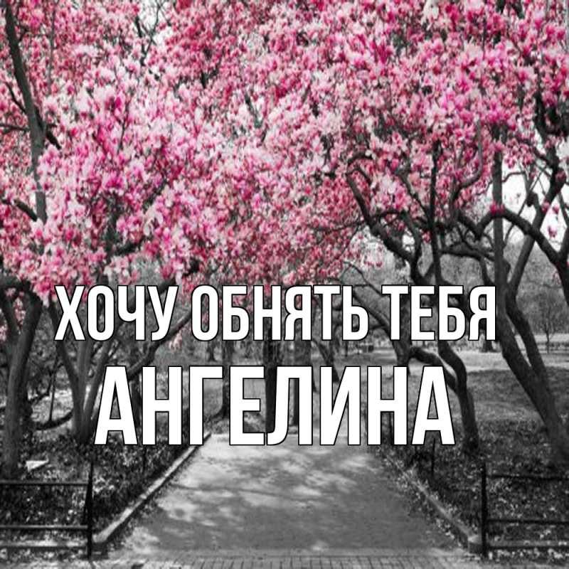 Картинка Хочу обнять тебя, ангелина