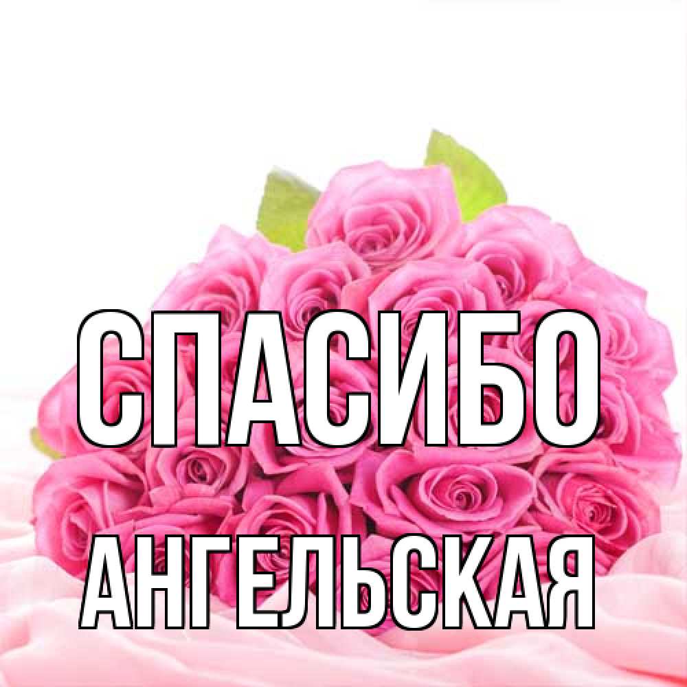 Открытка на каждый день с именем, Ангельская Спасибо розовые розы с подписью Прикольная открытка с пожеланием онлайн скачать бесплатно 