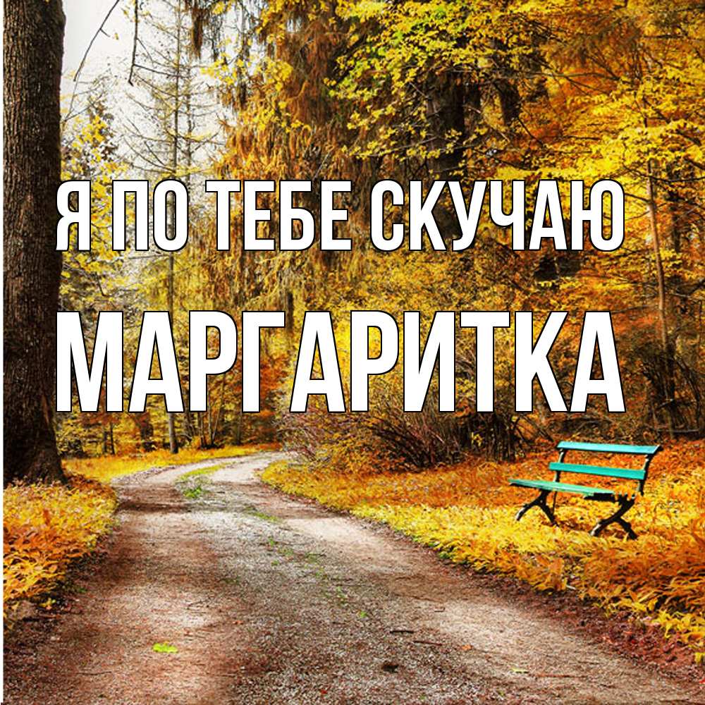 Открытка на каждый день с именем, Маргаритка Я по тебе скучаю зеленая лавочка и осенний лес Прикольная открытка с пожеланием онлайн скачать бесплатно 
