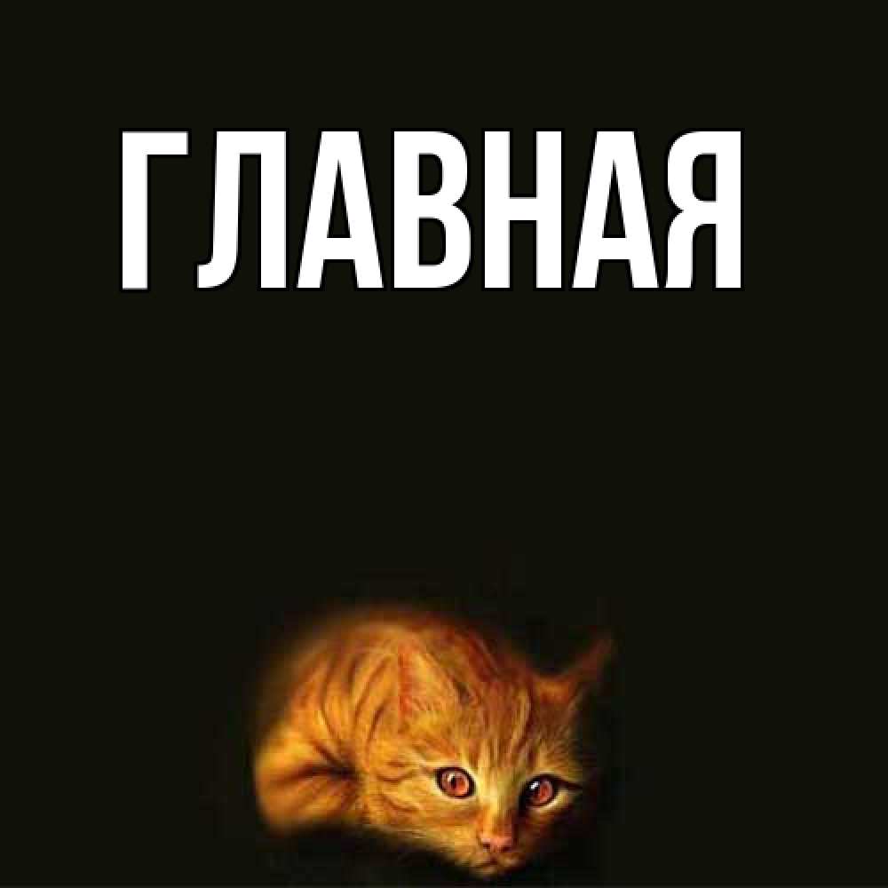 Открытка на каждый день с именем, настя Главная рыжий Прикольная открытка с пожеланием онлайн скачать бесплатно 