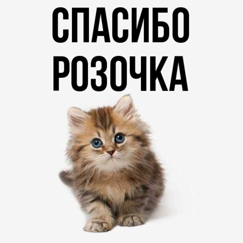 Картинка Спасибо, Розочка