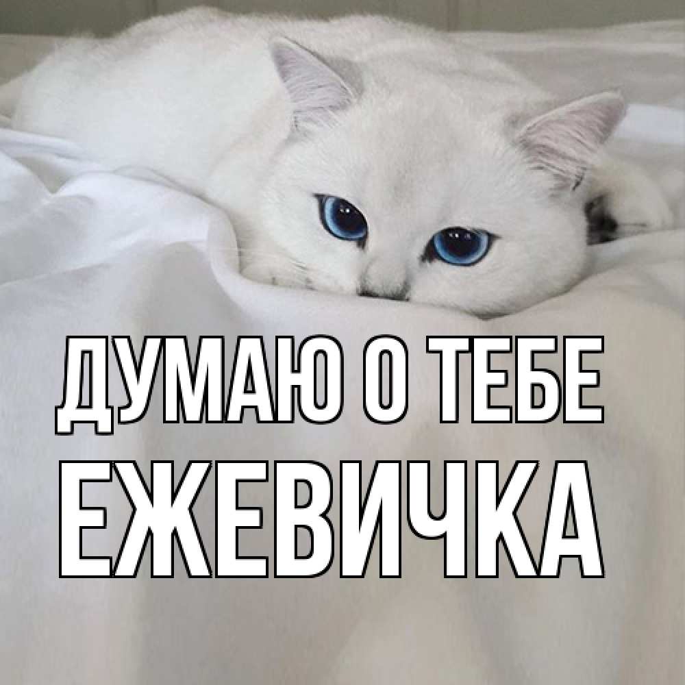 Открытка на каждый день с именем, ежевичка Думаю о тебе я очень по тебе скучаю и тоскую Прикольная открытка с пожеланием онлайн скачать бесплатно 