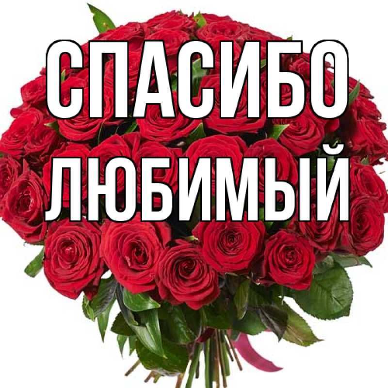 Картинка Спасибо, Любимый