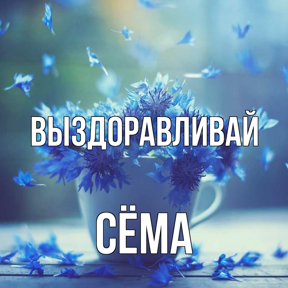 Открытка на каждый день с именем, Сёма Выздоравливай кружка с зельем и цветами Прикольная открытка с пожеланием онлайн скачать бесплатно 