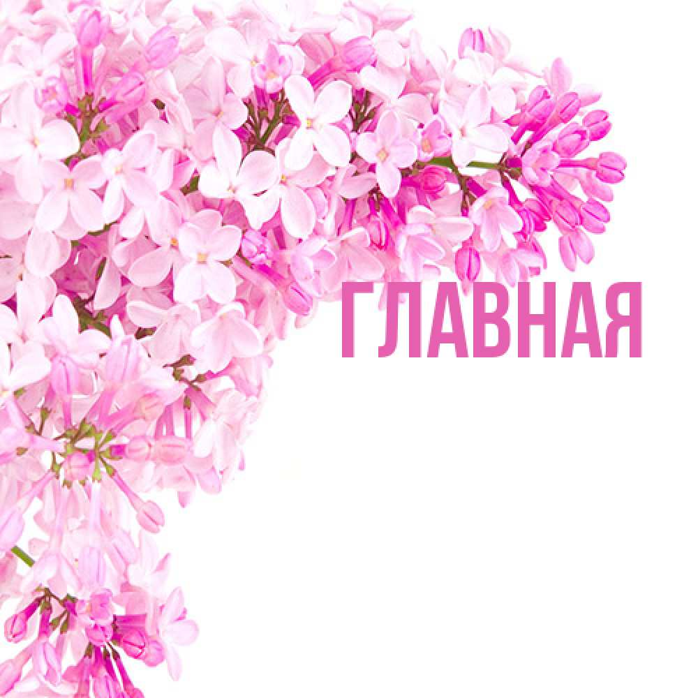 Открытка на каждый день с именем, Анна Главная Сирень на белом фоне Прикольная открытка с пожеланием онлайн скачать бесплатно 