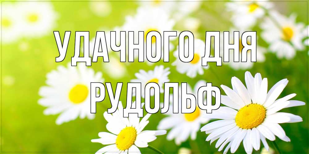Открытка на каждый день с именем, Рудольф Удачного дня открытка с ромашками на зеленом фоне Прикольная открытка с пожеланием онлайн скачать бесплатно 